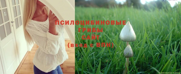 спайс Белокуриха